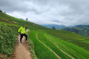 Mu Cang Chai: Full-Day Trek with Lunch and Batik Workshop