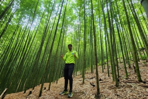 Mu Cang Chai: Full-Day Trek with Lunch and Batik Workshop