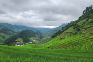 Mu Cang Chai: Full-Day Trek with Lunch and Batik Workshop