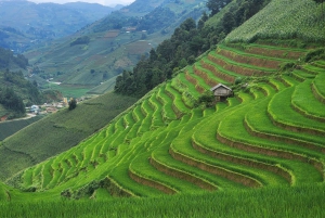 Mu Cang Chai: Full-Day Trek with Lunch and Batik Workshop