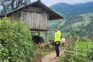 Mu Cang Chai: Full-Day Trek with Lunch and Batik Workshop