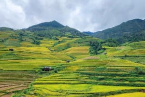 Mu Cang Chai: Full-Day Trek with Lunch and Batik Workshop