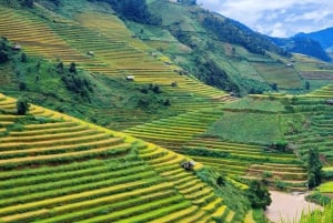 Mu Cang Chai: Full-Day Trek with Lunch and Batik Workshop