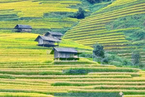 Mu Cang Chai: Full-Day Trek with Lunch and Batik Workshop