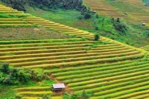 Mu Cang Chai: Full-Day Trek with Lunch and Batik Workshop
