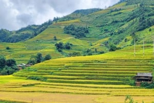 Mu Cang Chai: Full-Day Trek with Lunch and Batik Workshop