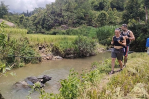 Mu Cang Chai: Halfday Motorbike Tour with Easy Rider & Lunch