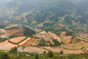 Mu Cang Chai: Halfday Motorbike Tour with Easy Rider & Lunch