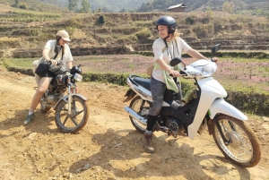 Mu Cang Chai: Halfday Motorbike Tour with Easy Rider & Lunch