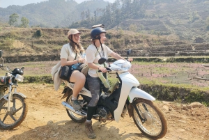 Mu Cang Chai: Halfday Motorbike Tour with Easy Rider & Lunch