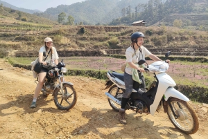 Mu Cang Chai: Halfday Motorbike Tour with Easy Rider & Lunch