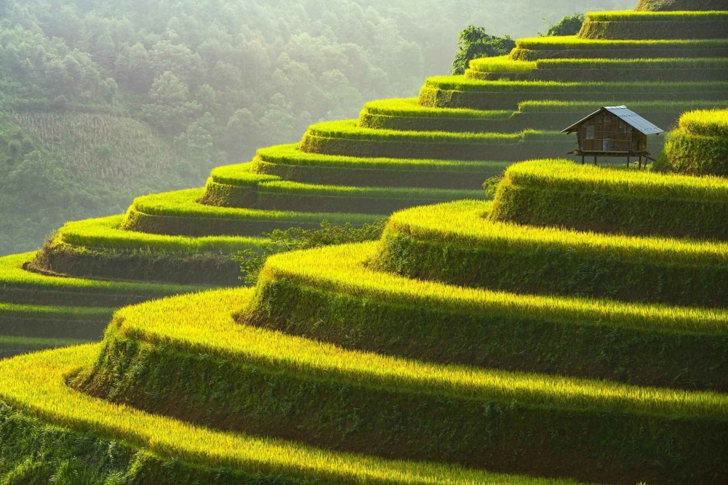Mu Cang Chai en Khau Pha-pas: schilderachtige 2-daagse tour vanuit Hanoi