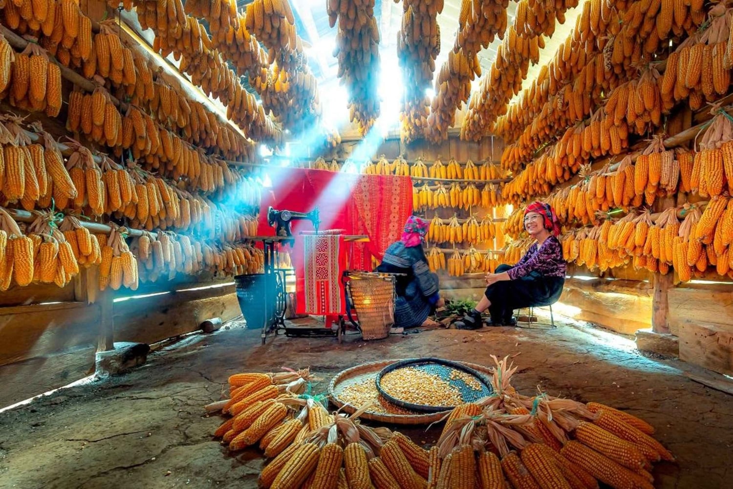 Mu Cang Chai en Khau Pha-pas: schilderachtige 2-daagse tour vanuit Hanoi