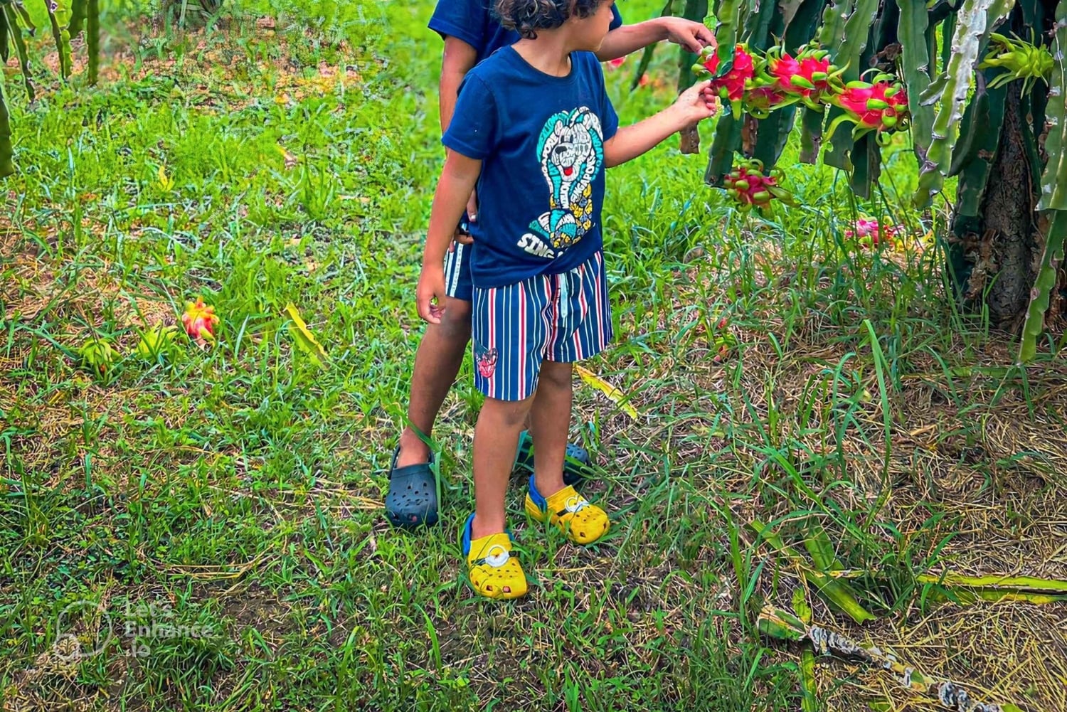 Mui Ne: Nui Neui: Paras päivä Ta Cu vuoristoköysiradalle ja makaavalle Buddhalle.