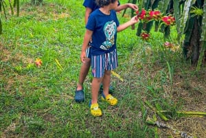 Mui Ne: Nui Neui: Paras päivä Ta Cu vuoristoköysiradalle ja makaavalle Buddhalle.