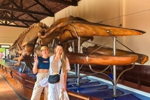 Mui Ne: Nui Neui: Paras päivä Ta Cu vuoristoköysiradalle ja makaavalle Buddhalle.