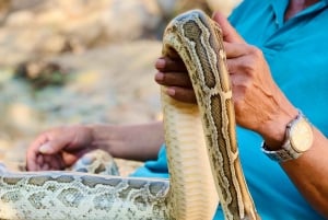 Mui Ne: Sand Dunes Tour On A Private Jeep Including ATV Ride