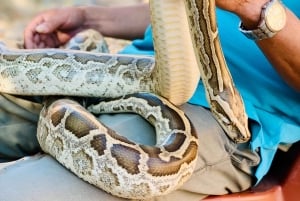 Mui Ne: Sand Dunes Tour On A Private Jeep Including ATV Ride