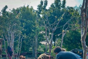 Mui Ne: Sand Dunes Tour On A Private Jeep Including ATV Ride