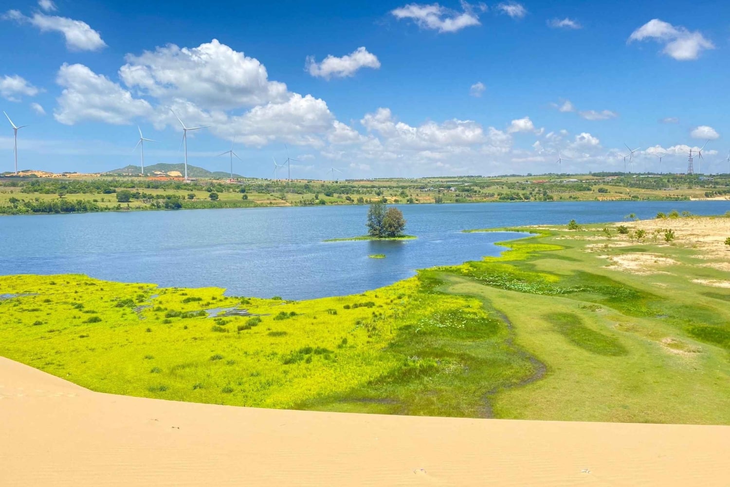 Mui Ne special: Quad Bike ATV drive by yourself+ Jeep &Guide