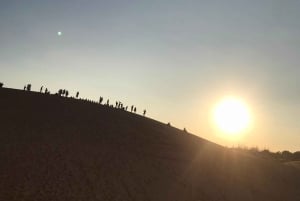 Mui Ne special: Quad Bike ATV drive by yourself+ Jeep &Guide