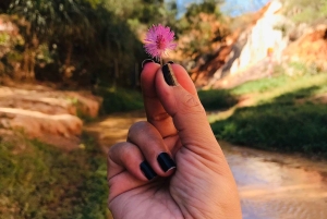 Mui Ne: Sunrise or Sunset Jeep Tour & Quad Bike With Driver