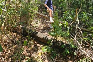 My Son-helgedomen och bergsvandring - Pilgrimsresa