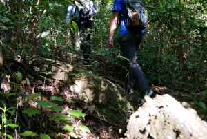 My Son-helgedomen och bergsvandring - Pilgrimsresa