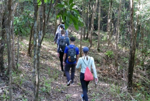 My Son-helgedomen och bergsvandring - Pilgrimsresa
