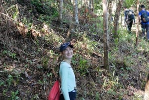 My Son-helgedomen och bergsvandring - Pilgrimsresa