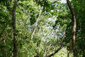 My Son-helgedomen och bergsvandring - Pilgrimsresa