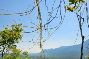 My Son-helgedomen och bergsvandring - Pilgrimsresa