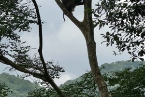 My Son-helgedomen och bergsvandring - Pilgrimsresa