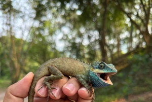 My Son-helgedomen och bergsvandring - Pilgrimsresa