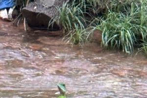 My Son-helgedomen och bergsvandring - Pilgrimsresa
