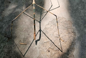 My Son-helgedomen och bergsvandring - Pilgrimsresa