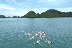 Ön Cat Ba: Heldagskryssning till Lan Ha Bay och Ha Long Bay
