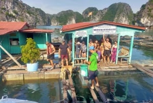 Cat Ba-øya: Heldagscruise til Lan Ha-bukten og Ha Long-bukten