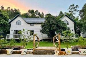 ゴック・ヴン～アラカルト・ハロン 3日間2泊の至福の旅