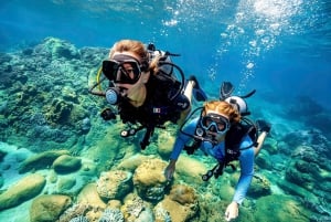 Nha Trang: 3-dniowy kurs nurkowania Open Water z lunchem
