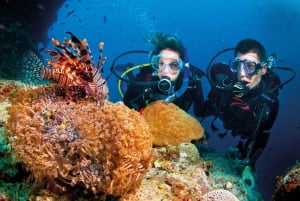 Nha Trang: 3-dniowy kurs nurkowania Open Water z lunchem