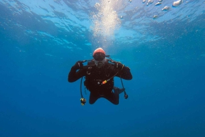 Nha Trang: 3-dniowy kurs nurkowania Open Water z lunchem