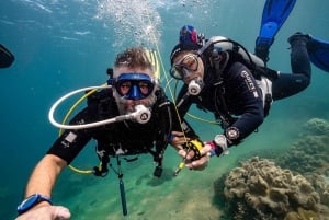 Nha Trang: 3-dniowy kurs nurkowania Open Water z lunchem