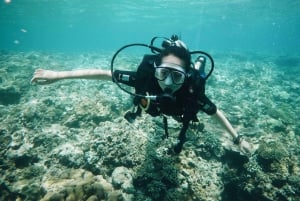 Nha Trang: 3-dniowy kurs nurkowania Open Water z lunchem
