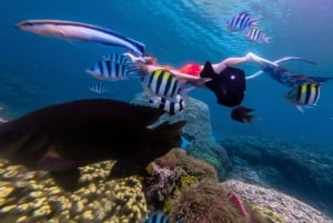 Nha Trang: 3-dniowy kurs nurkowania Open Water z lunchem