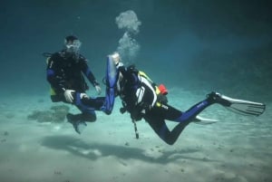 Nha Trang: 3-dniowy kurs nurkowania Open Water z lunchem