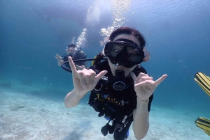 Nha Trang: 3-dniowy kurs nurkowania Open Water z lunchem