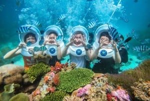 ニャチャン：3日間オープンウォーターダイビングコース（昼食付き）