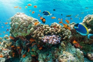 Nha Trang: excursión a 3 islas con diversión en la playa o con barro