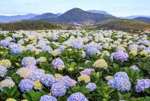 Nha Trang: tour di 5 giorni a Nha Trang e Da Lat con pasti